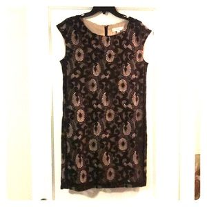 Ann Taylor LOFT cocktail dress